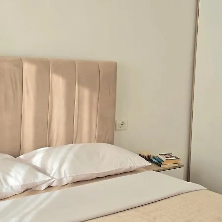 Comfort * ティラナ